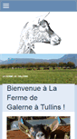 Mobile Screenshot of fermedegalerne.fr