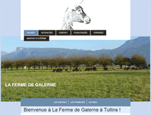 Tablet Screenshot of fermedegalerne.fr